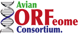 Avian ORFeome Consortium